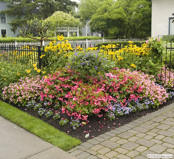 landscape-flower