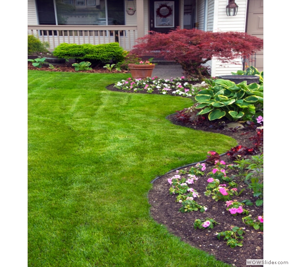 landscape-services