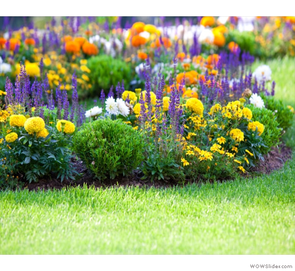 summer-flowers-planting